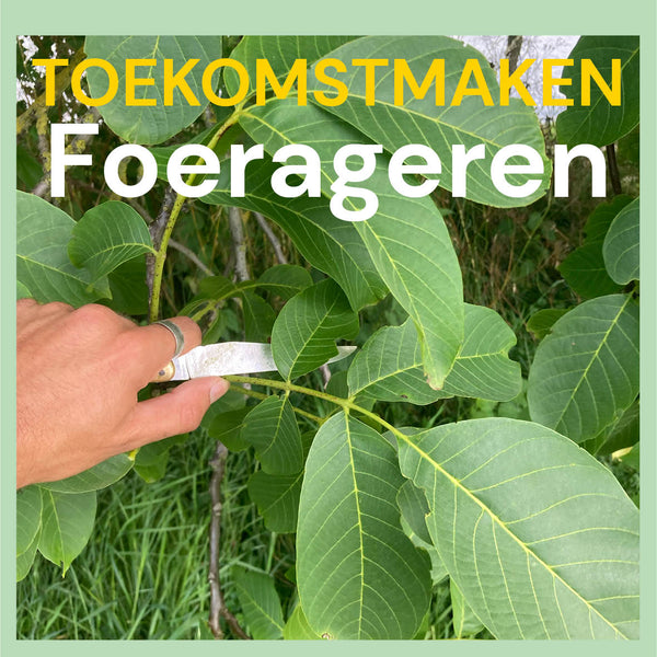 Foerageren